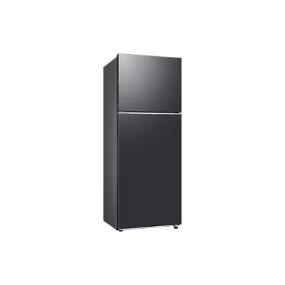 africa en top mount freezer optimal fresh and space max rt42cg6621b1ut thumb 537742606