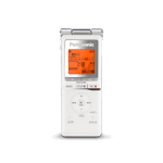Panasonic IC Recorder with 2GB Built-in Memory, AAA Battery, RR-XS420